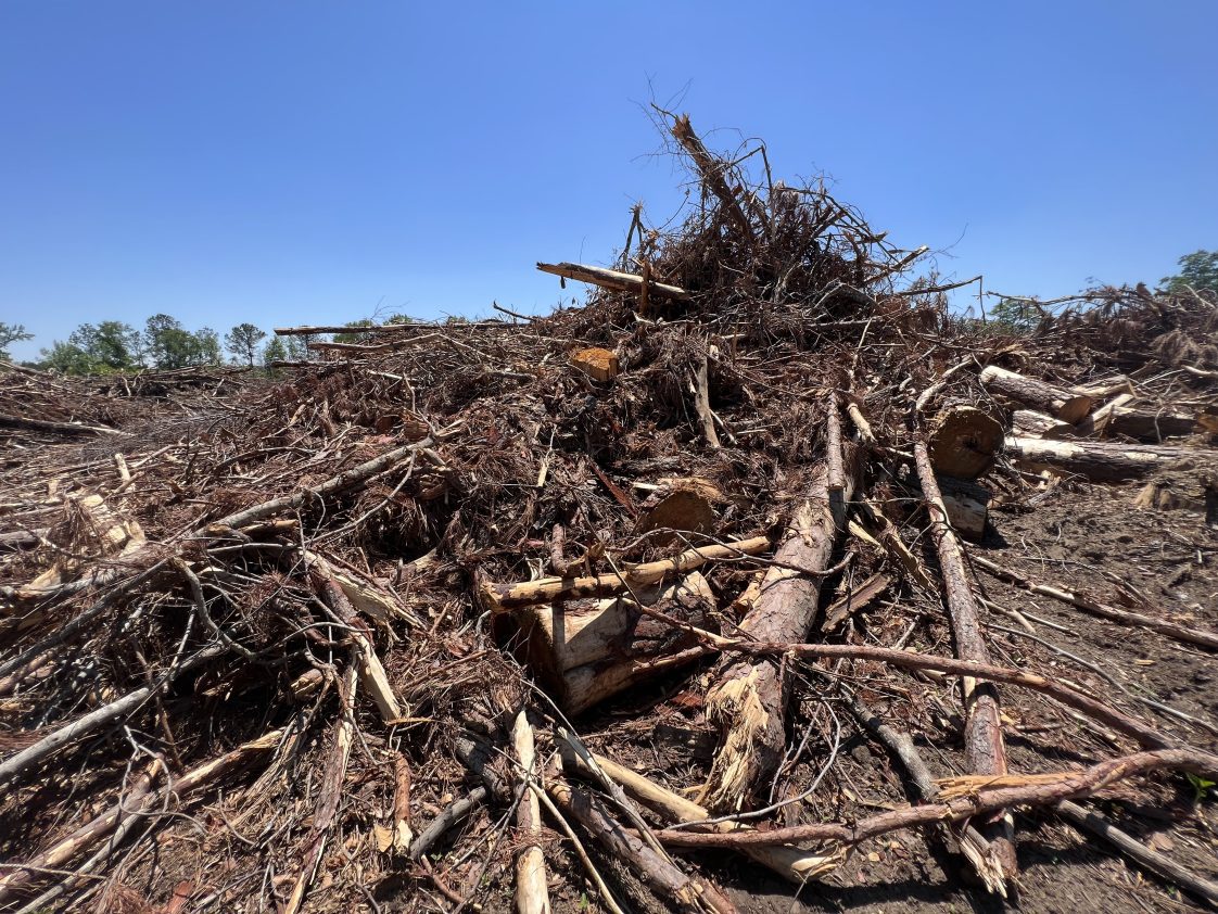 Woody Biomass Harvesting Practices Biomass Markets In Alabama