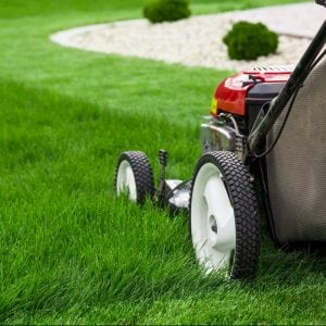 Push lawn mower mowing green grass.