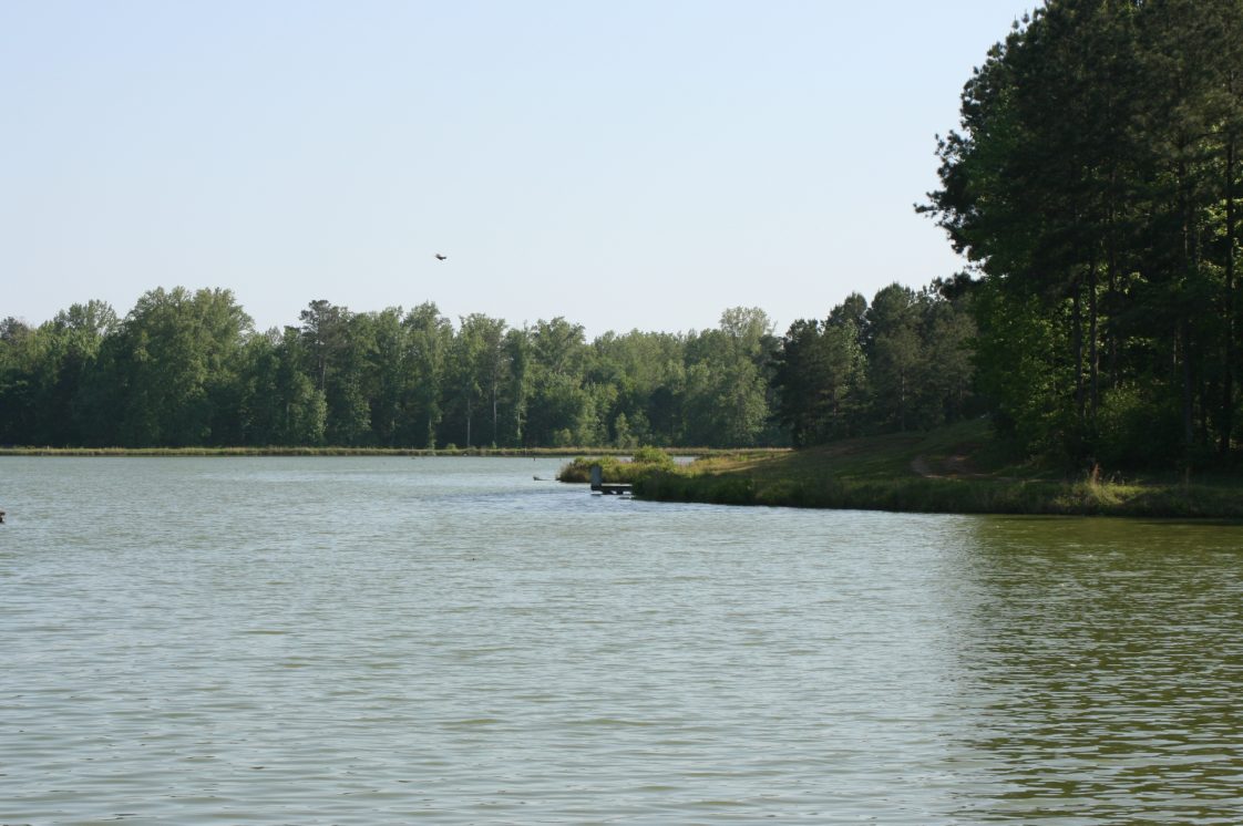 Figure 1. Adding agricultural lime to ponds with low alkalinity can change the chemistry of the water and pond soils.