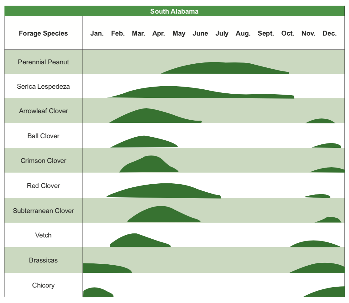 Forage Systems for Cow-Calf Operations in South Alabama - Alabama ...