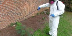 Applicator Spraying Pesticides in PPE