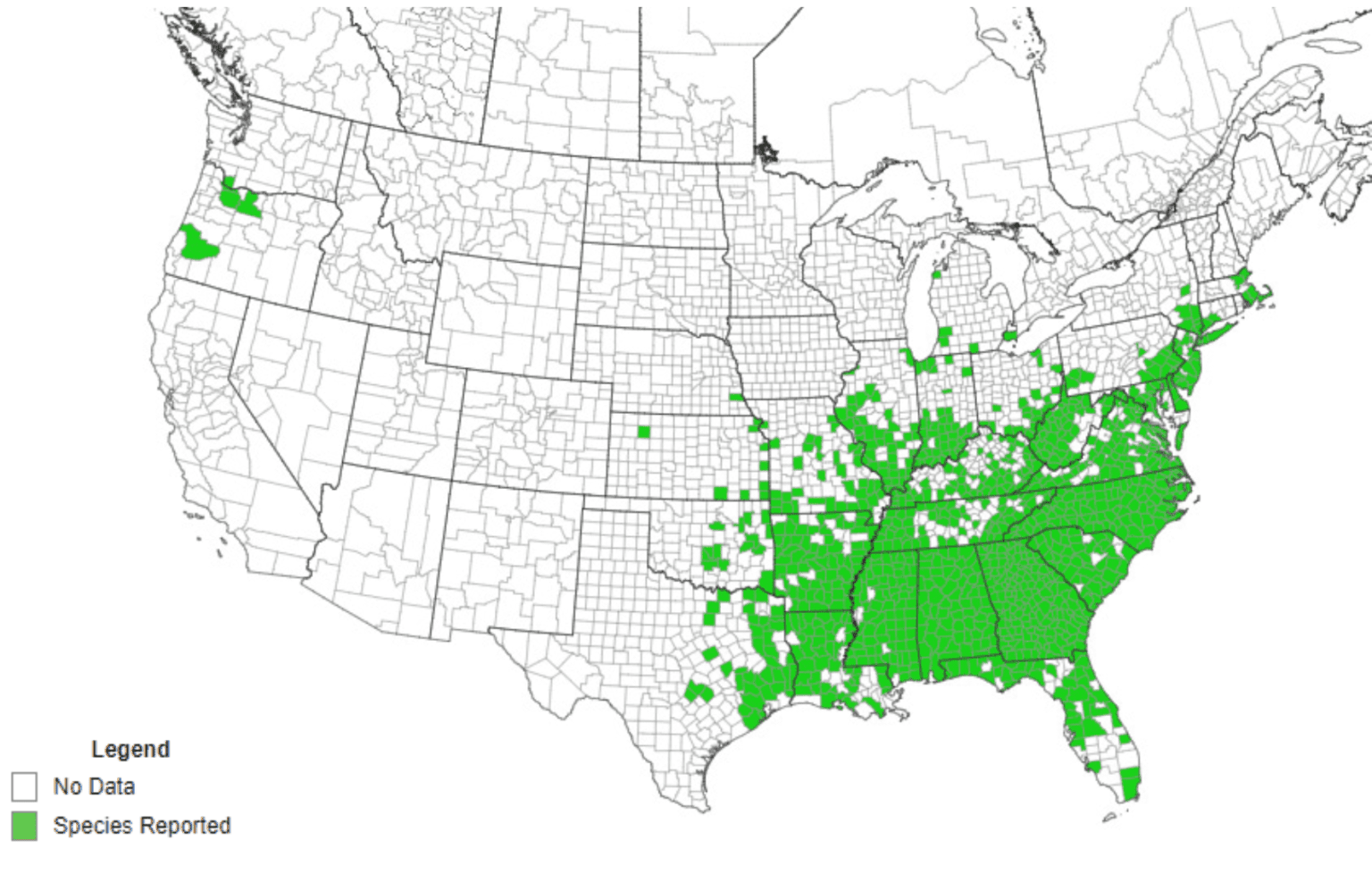 History and Use of Kudzu in the Southeastern United States - Alabama 