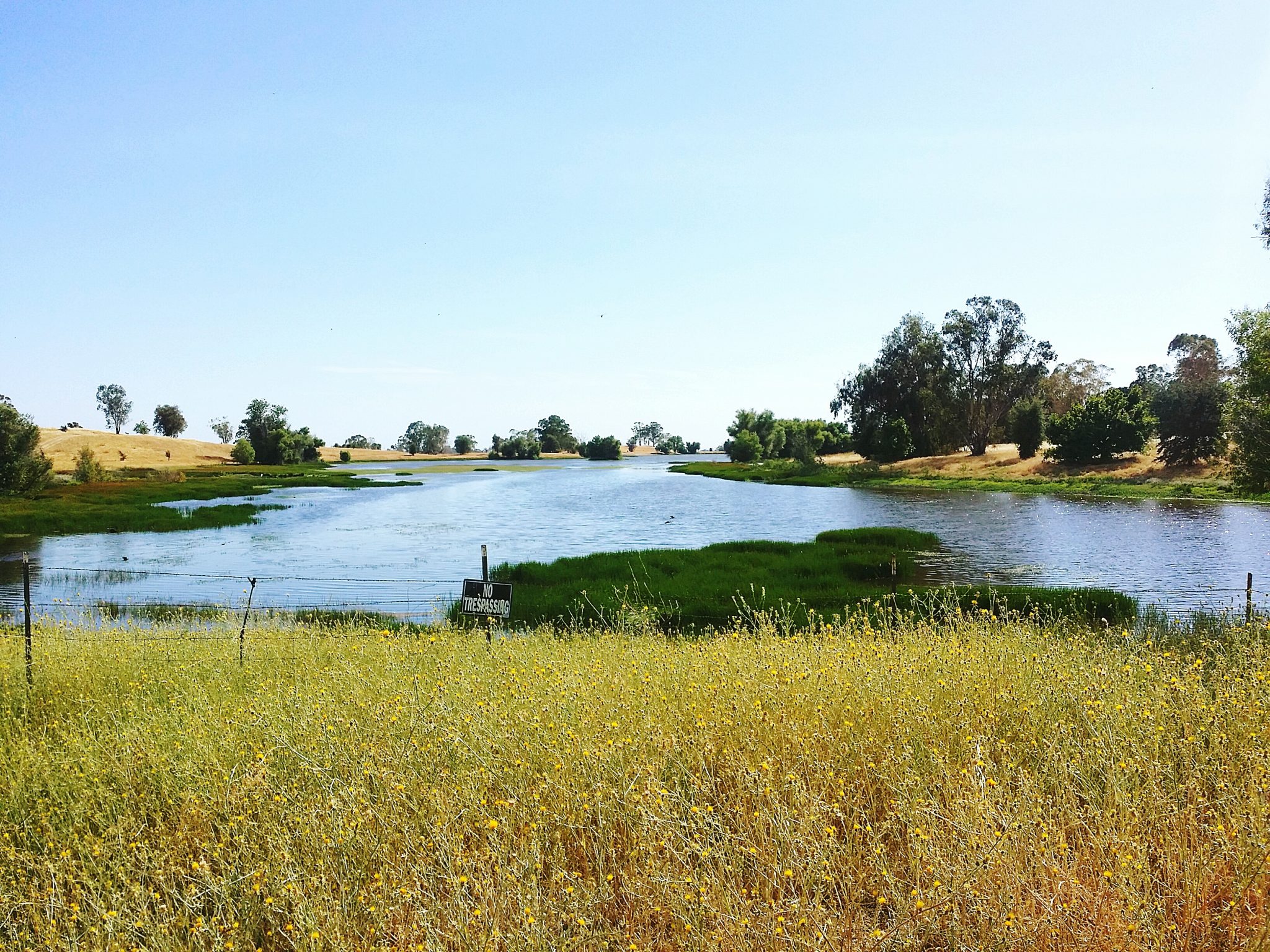 Pond Against Clear Sky