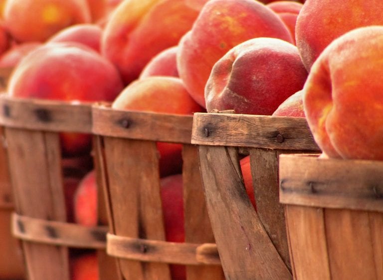 Alabama Peach Industry - Encyclopedia of Alabama