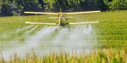 A crop duster flying over a field