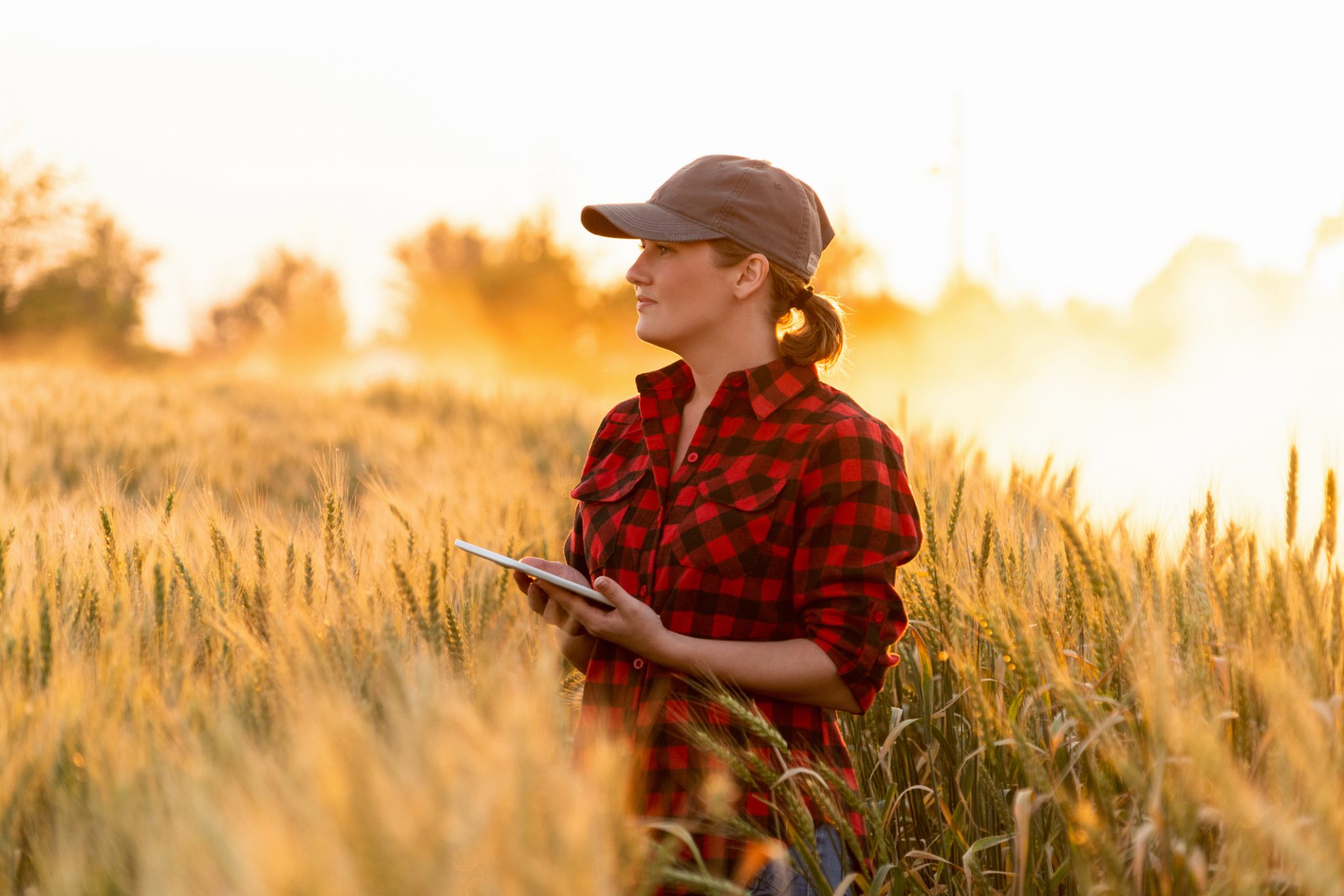 How To Choose The Right Farming Accounting Software For Your Business 