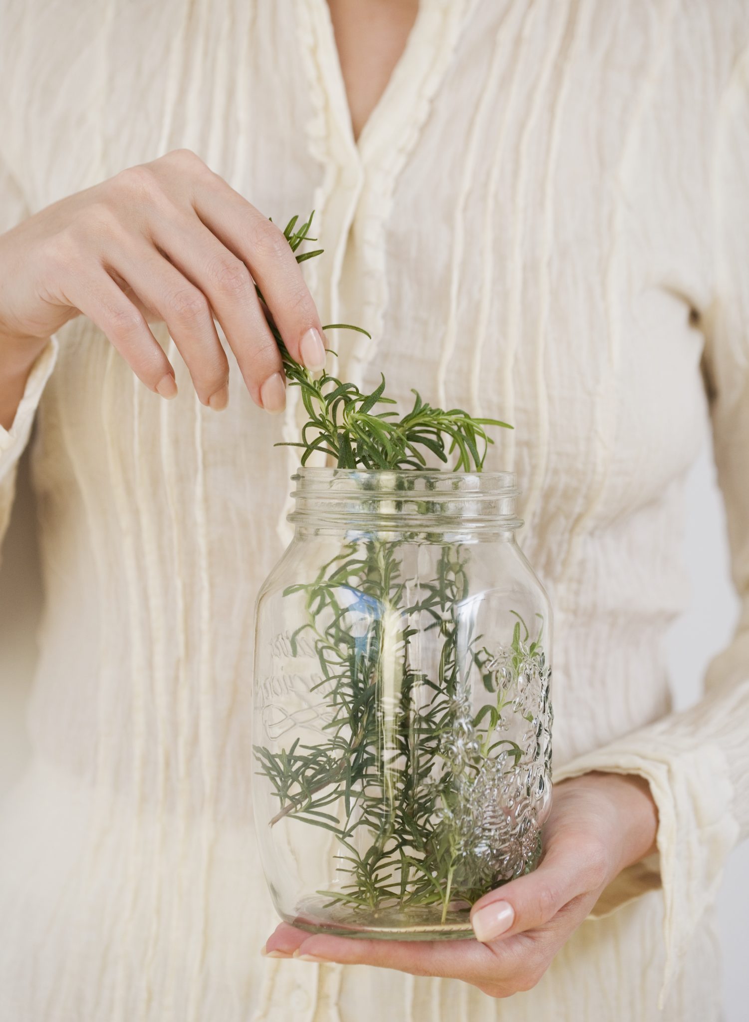 Drying Herbs - Alabama Cooperative Extension System