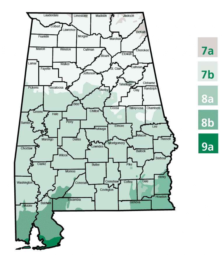 Residential Landscape Design - Alabama Cooperative Extension System