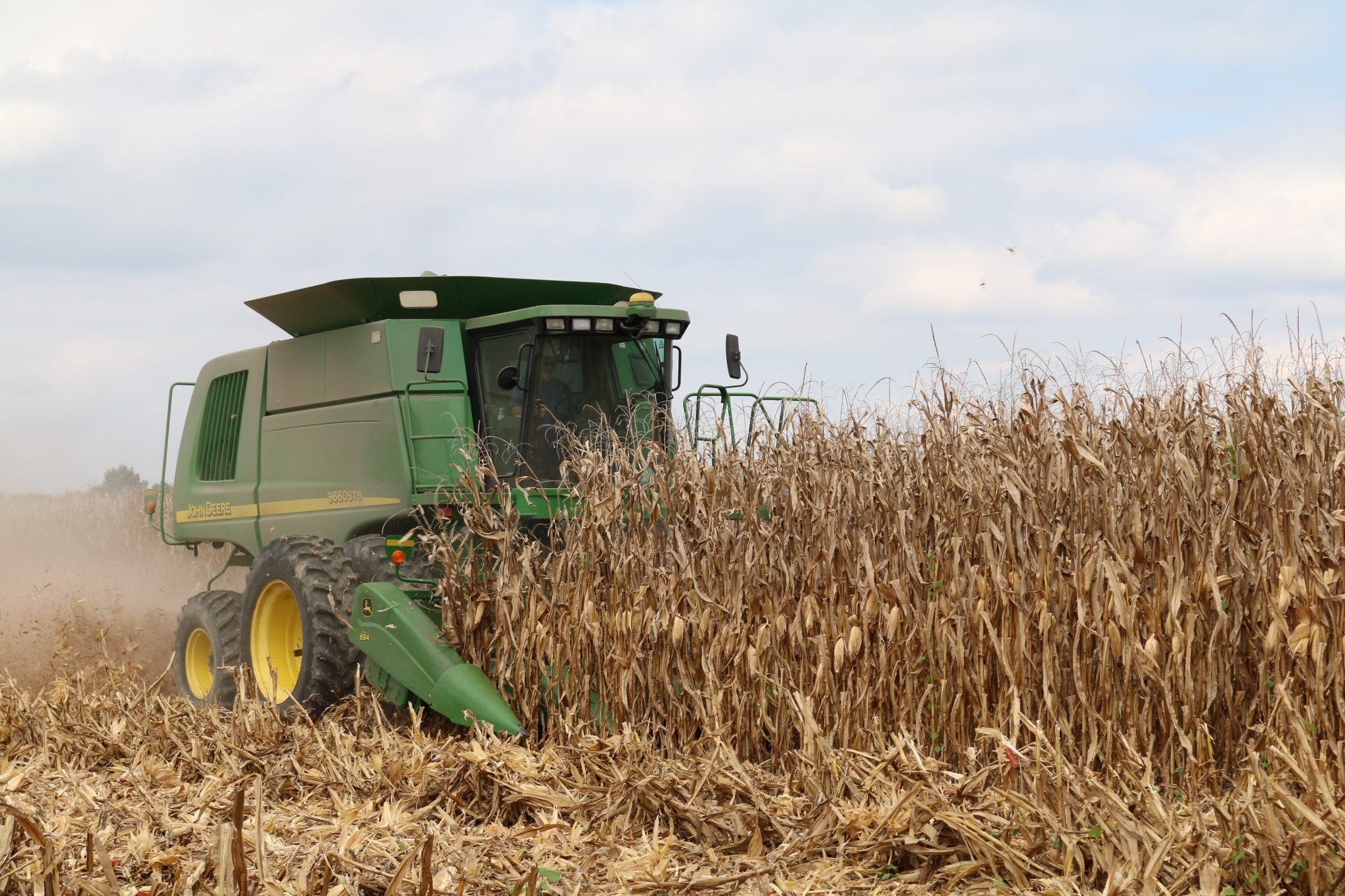 Reduced Tillage Corn Enterprise Budget - Alabama Cooperative Extension ...