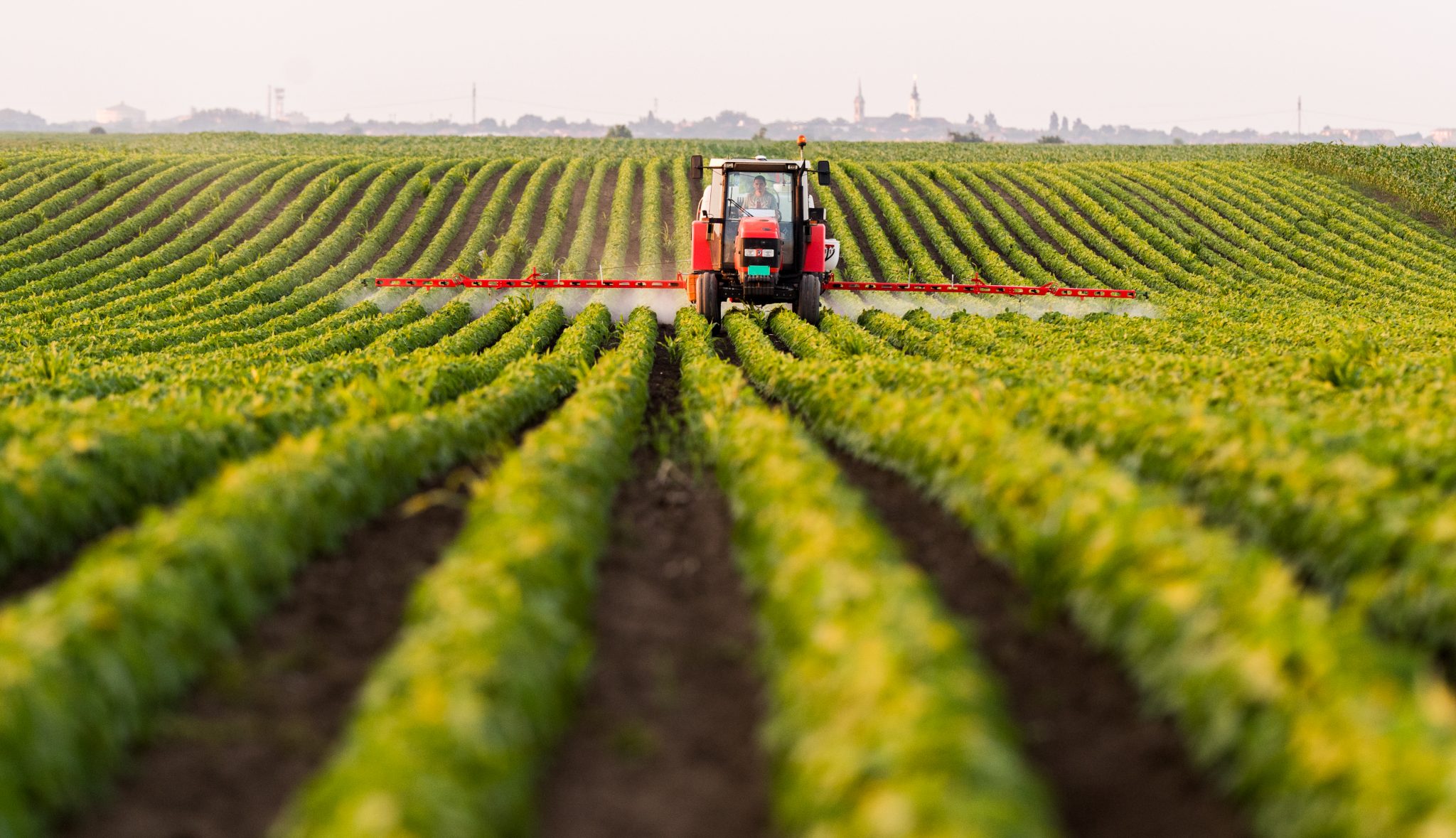 Paraquat Training Information Alabama Cooperative Extension System