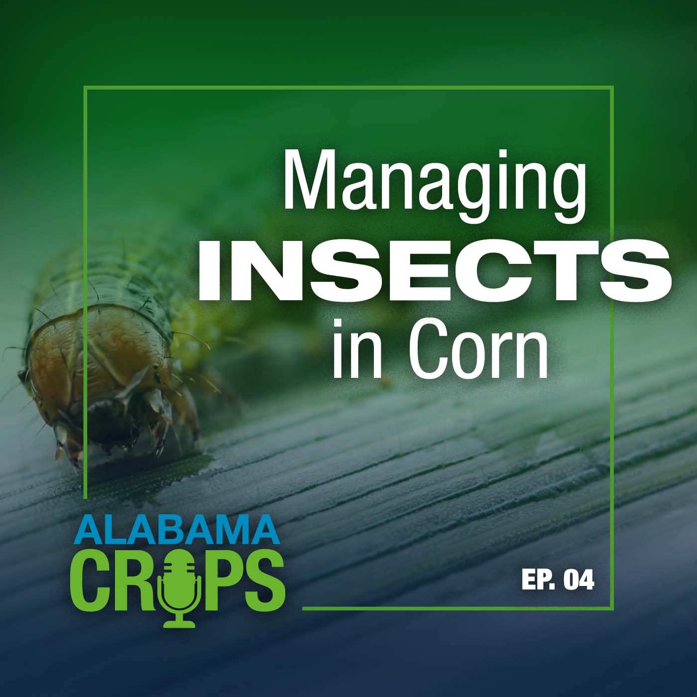 Alabama Pest Report - Alabama Cooperative Extension System