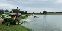 Harvesting catfish at a commercial farm in Hale County