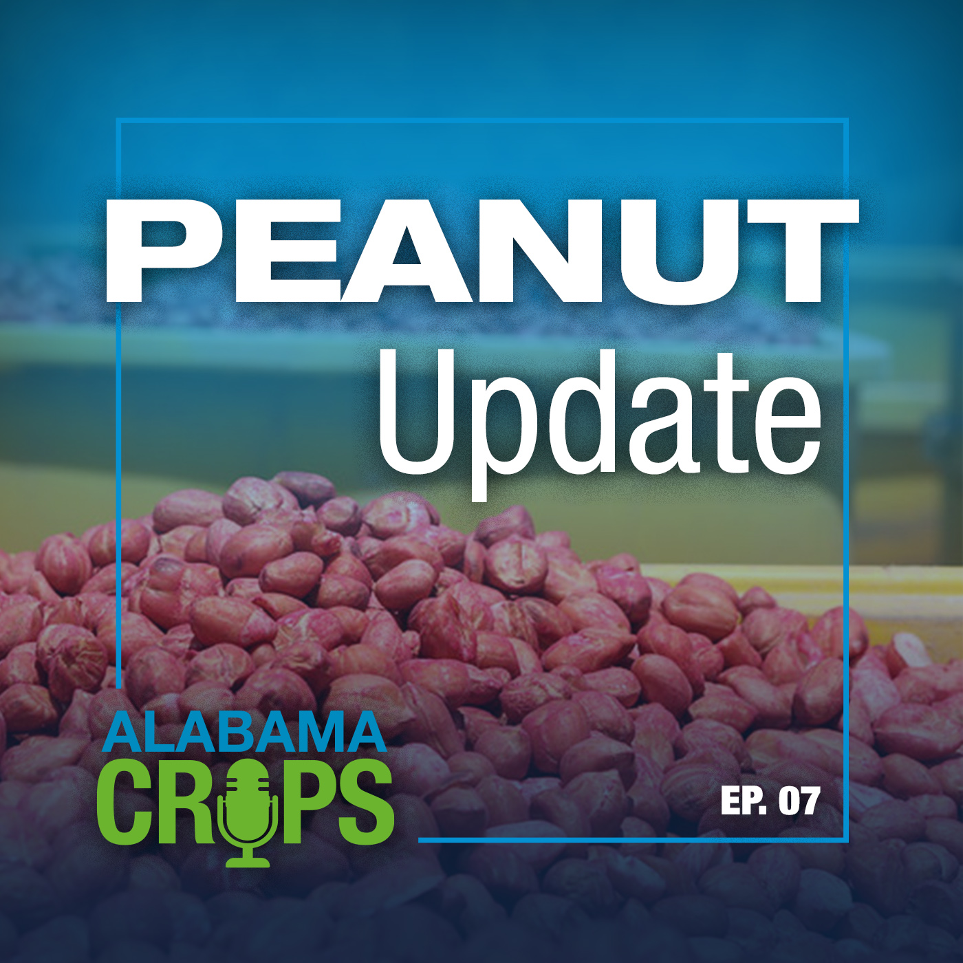Episode 7 – Peanut Update