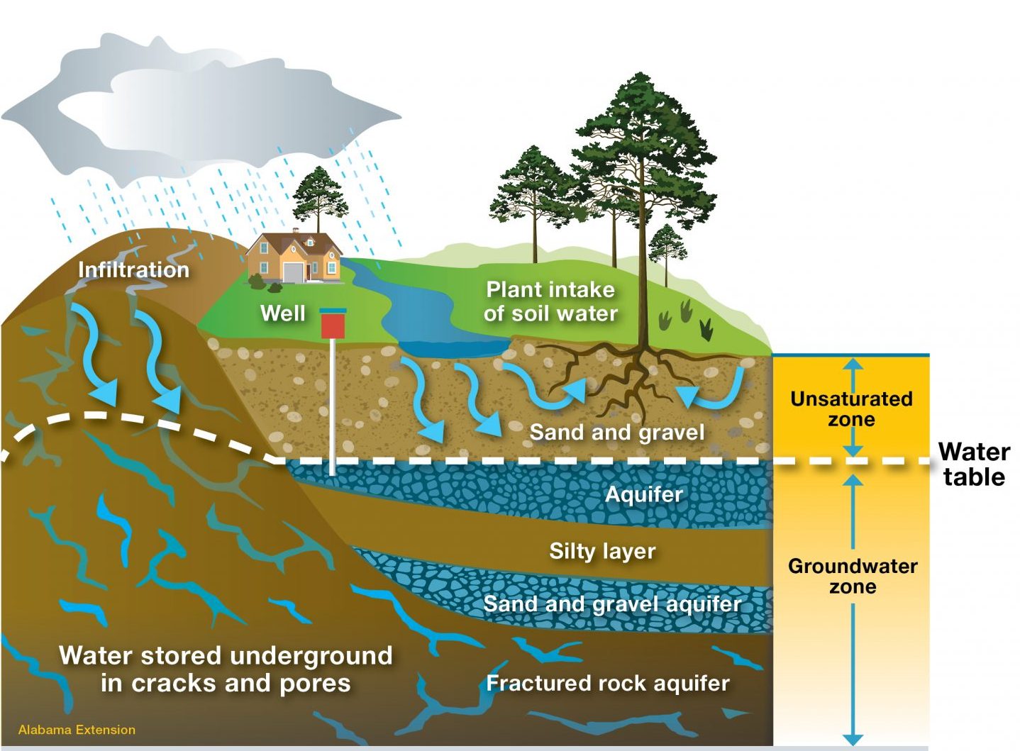 Water Table Aquifer Diagram