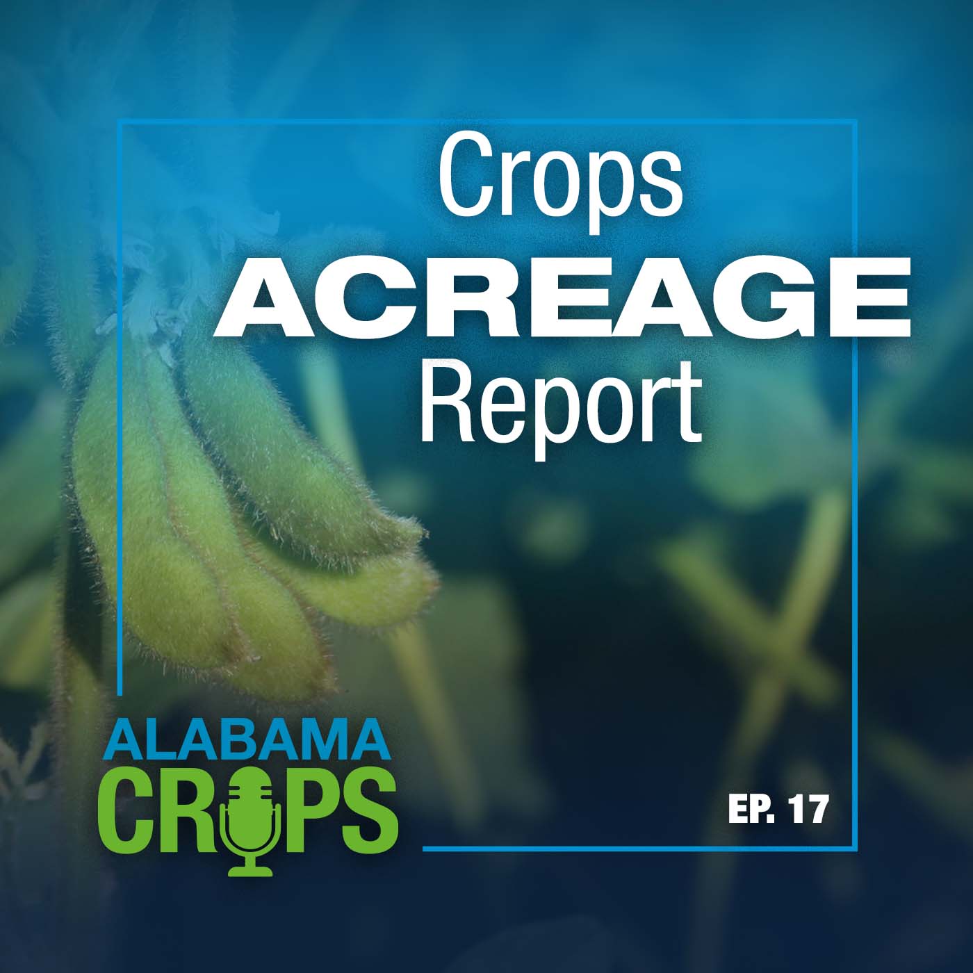 Episode 17 – Crops Acreage Report