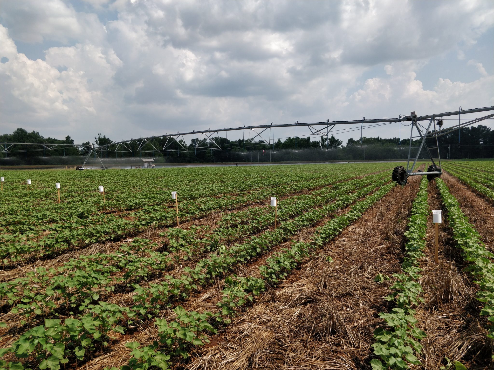 Maintaining Water Application Uniformity in Irrigation Systems