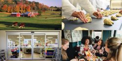 A collage of a farm, grocery store, people at lunch, and a professional kitchen