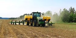 Planting Cotton into a Cover Crop Using Strip Tilling