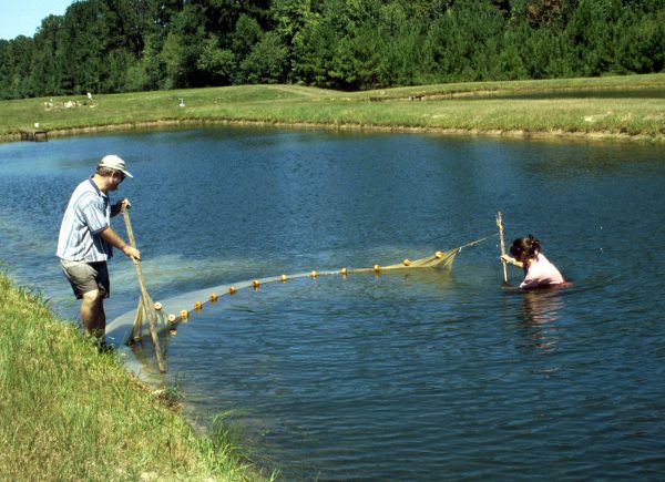 Home - Southeastern Pond Management