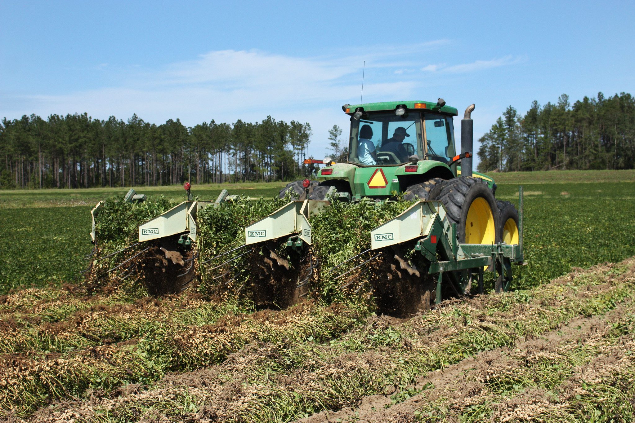 Yield Projections for the 2022 Crop - Alabama Cooperative