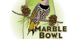 The marble bowl artwork.