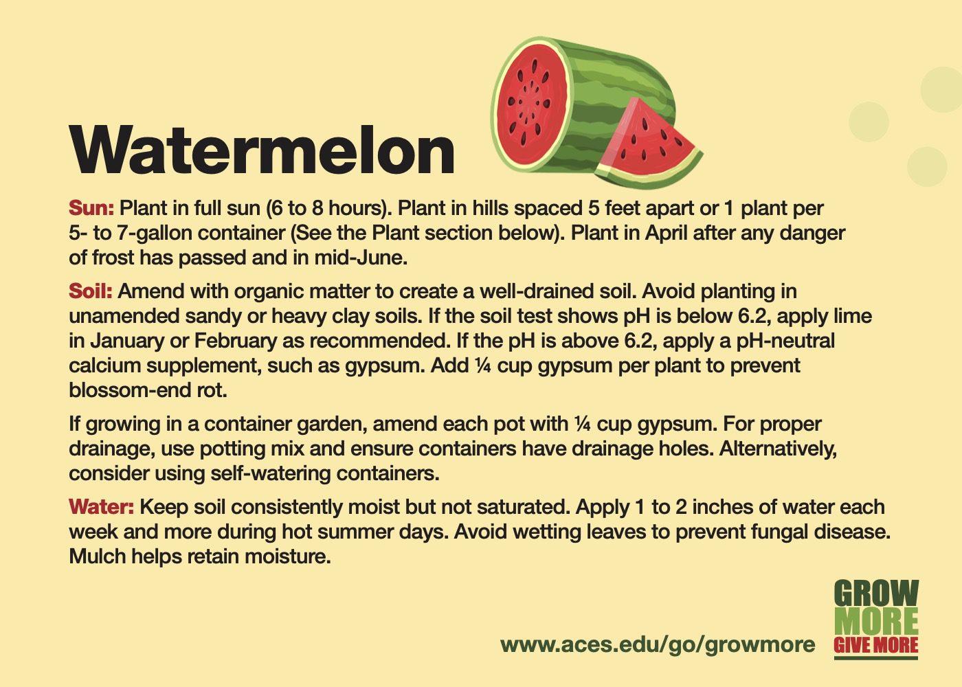 Grow More Watermelon Alabama Cooperative Extension System