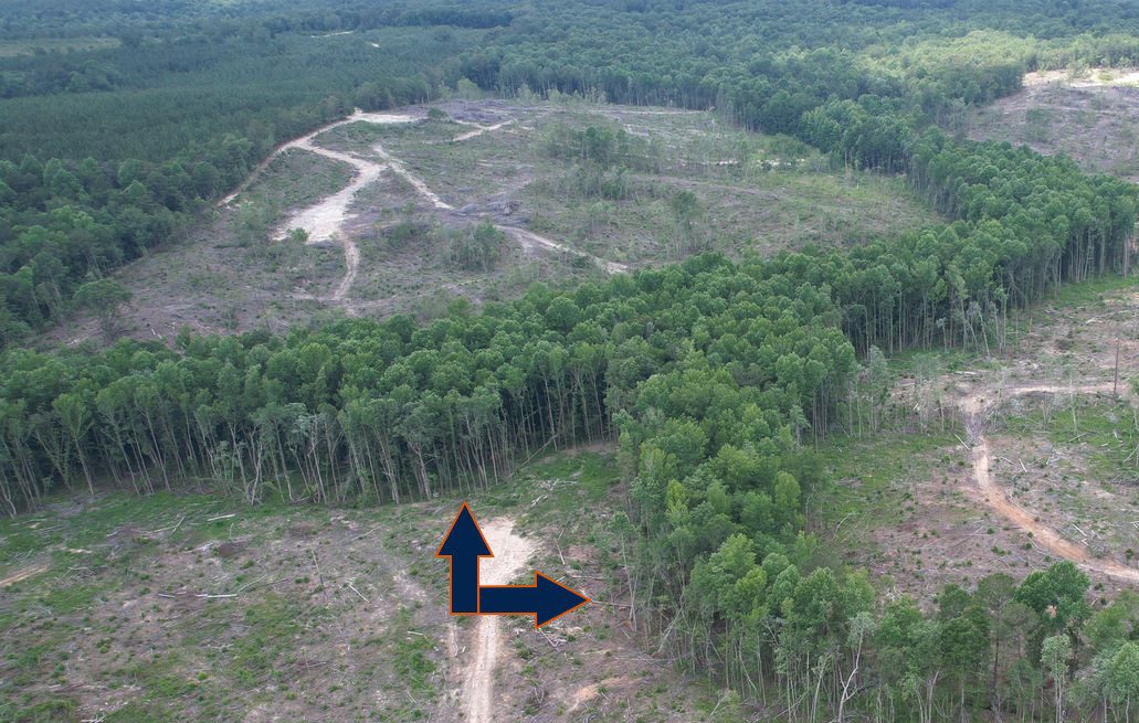 Controlling Erosion when Harvesting Timber - Alabama Cooperative ...