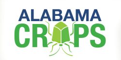 Alabama Crops Insect Report mark