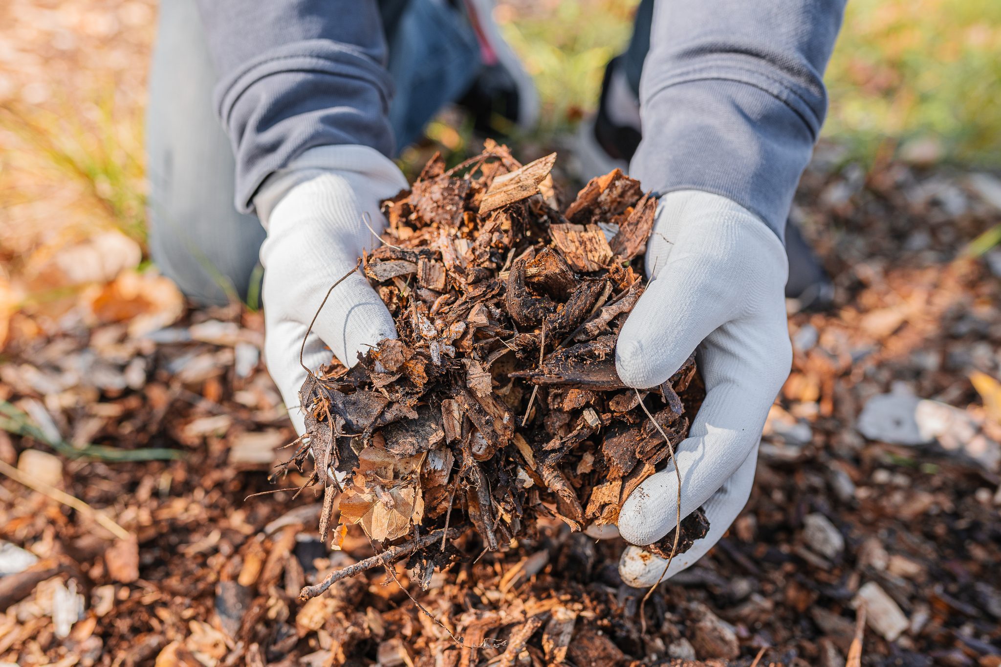 Composting and Landscaping at Home