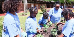 Students working in the new gardens at Glen Oak Intermediate School