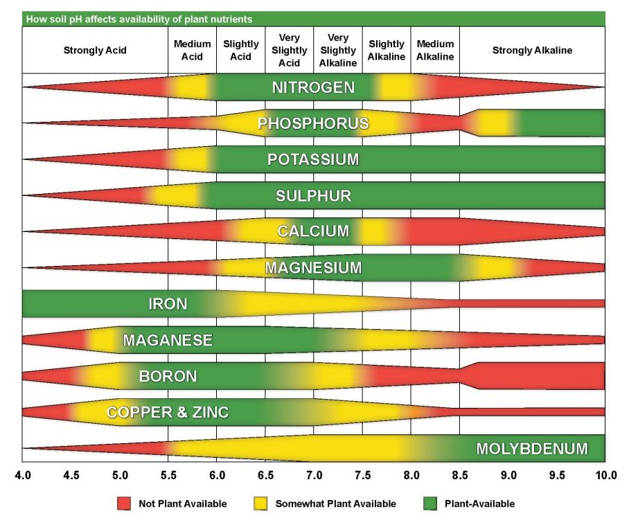 Managing Soil Nutrients in Wildlife Food Plots - Alabama Cooperative ...