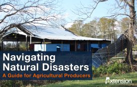 An image of a storm-damaged barn with the following text: Navigating Natural Disasters: A Guide for Agricultural Producers