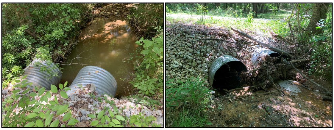 Forestry Best Management Practices Stream Crossings Alabama