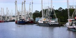 Shrimp boats in Bayou La Batre, Alabama.