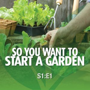 So You Want to Start a Garden From the Ground Up! Season 1 Episode 1