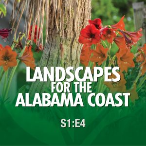 Landscapes for the Alabama Coast From the Ground Up! Season 1 Episode 4