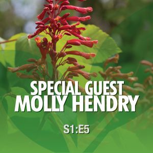 Special Guest Molly Hendry From the Ground Up! Season 1 Episode 5