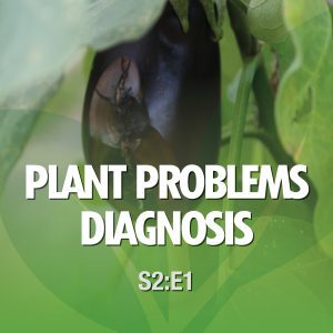 Plant Problems Diagnosis From the Ground Up! Season 2 Episode 1