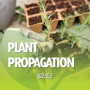 Plant Propagation From the Ground Up! Season 2 Episode 2