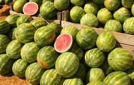 A pile of watermelons, with one cut open where you see the red inside