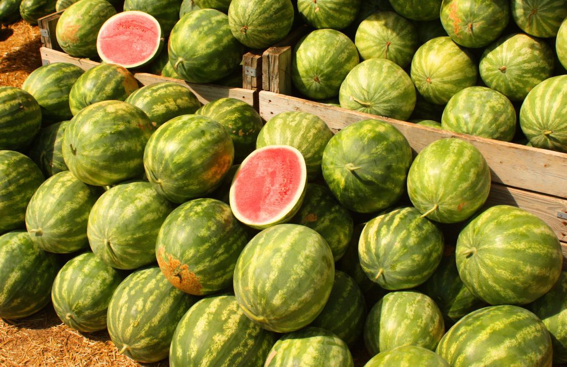A pile of watermelons, with one cut open where you see the red inside