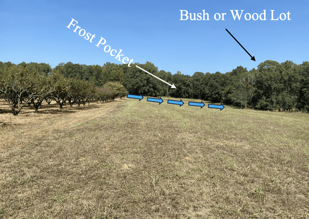 Fruit Culture in Alabama: Soil & Site Selection & Freeze Protection ...