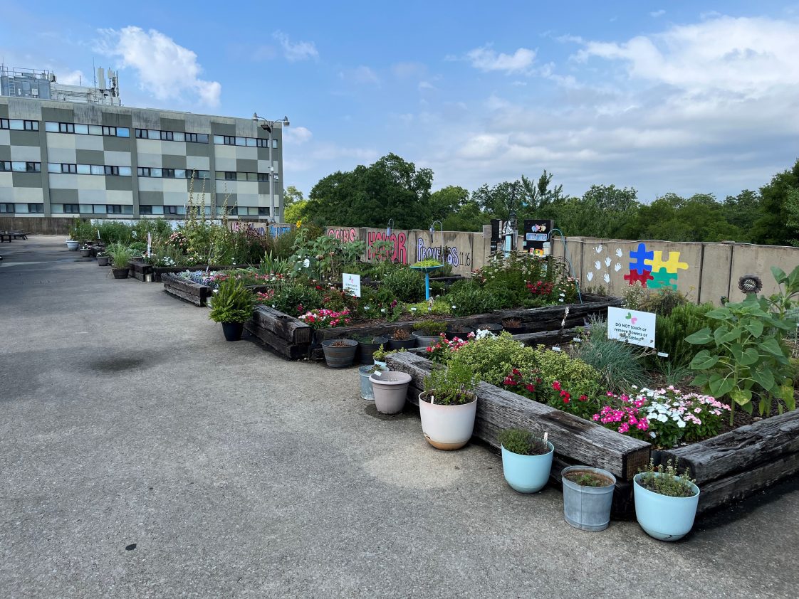 Rooftop garden at The Lovelady Center in Jefferson County. Master Gardeners tend the rooftop garden.