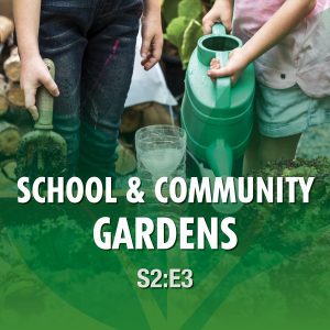 Season 2 Episode 3 - School & Community Gardens