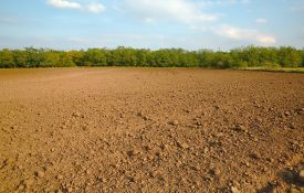A picture of tilled soil in a field.