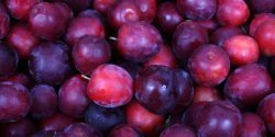 red plums