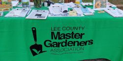 A display table for the Lee County Master Gardeners Association