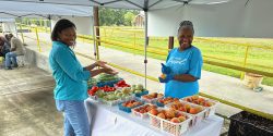 Janice Hall talking with a vendor selling peaches, tomatoes, and watermelon.