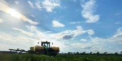 Tractor spreading liquid fertilizer on corn for nutrient management in row crops.