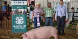 A Marshall County 4-H member posing for a picture with his Grand Champion pig in the Pig Squeal program.